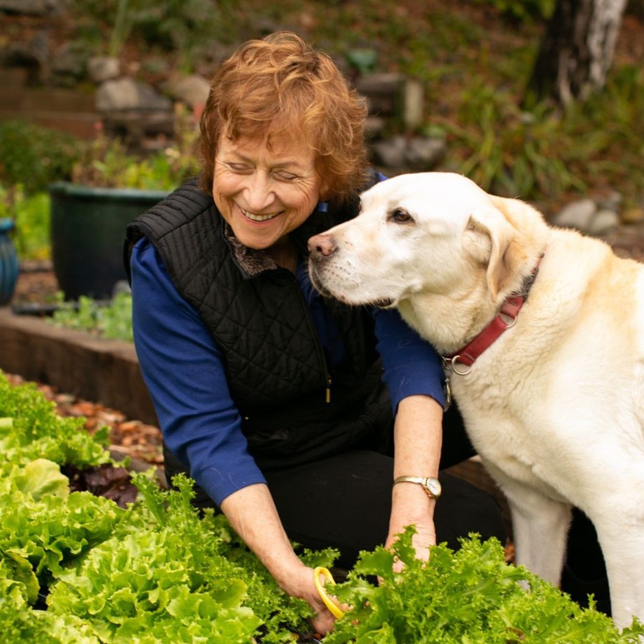 Renee's Garden