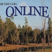 Retrievers ONLINE