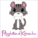 Revolution of Kitten