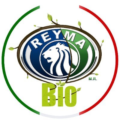 Grupo Reyma