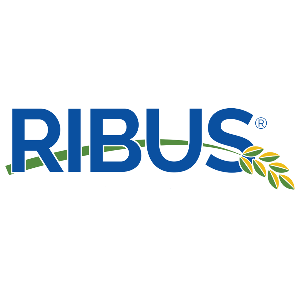 RIBUS