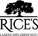 Rice’s