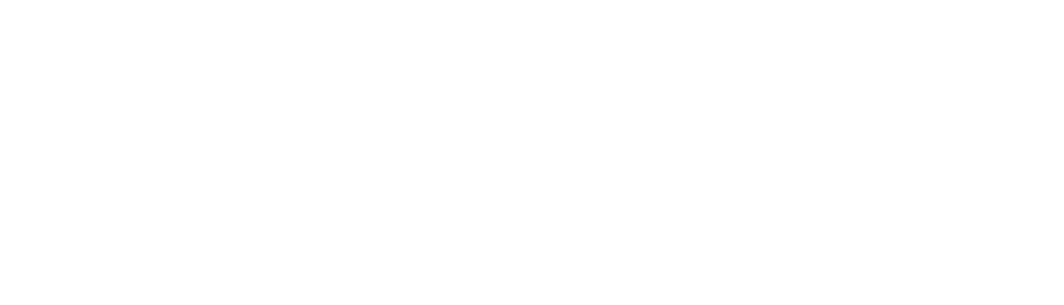 Rollo Insurance