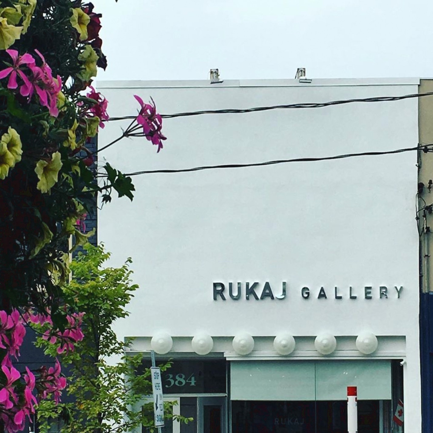 Nikola Rukaj Gallery