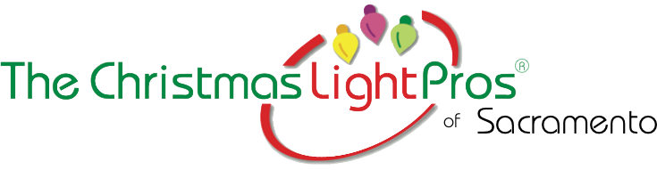 The Christmas Light Pros