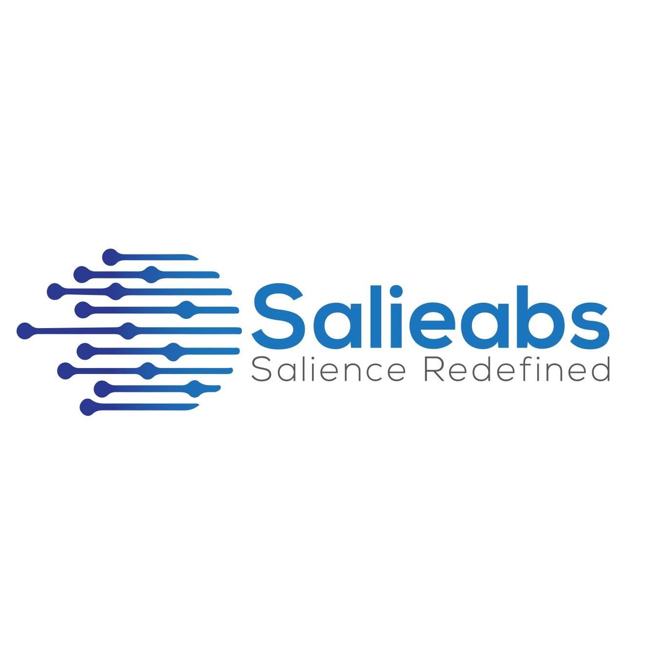 Salieabs Electronics Engineers Llp (Formerly Ed Labs)