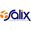 Salix Ingenieros