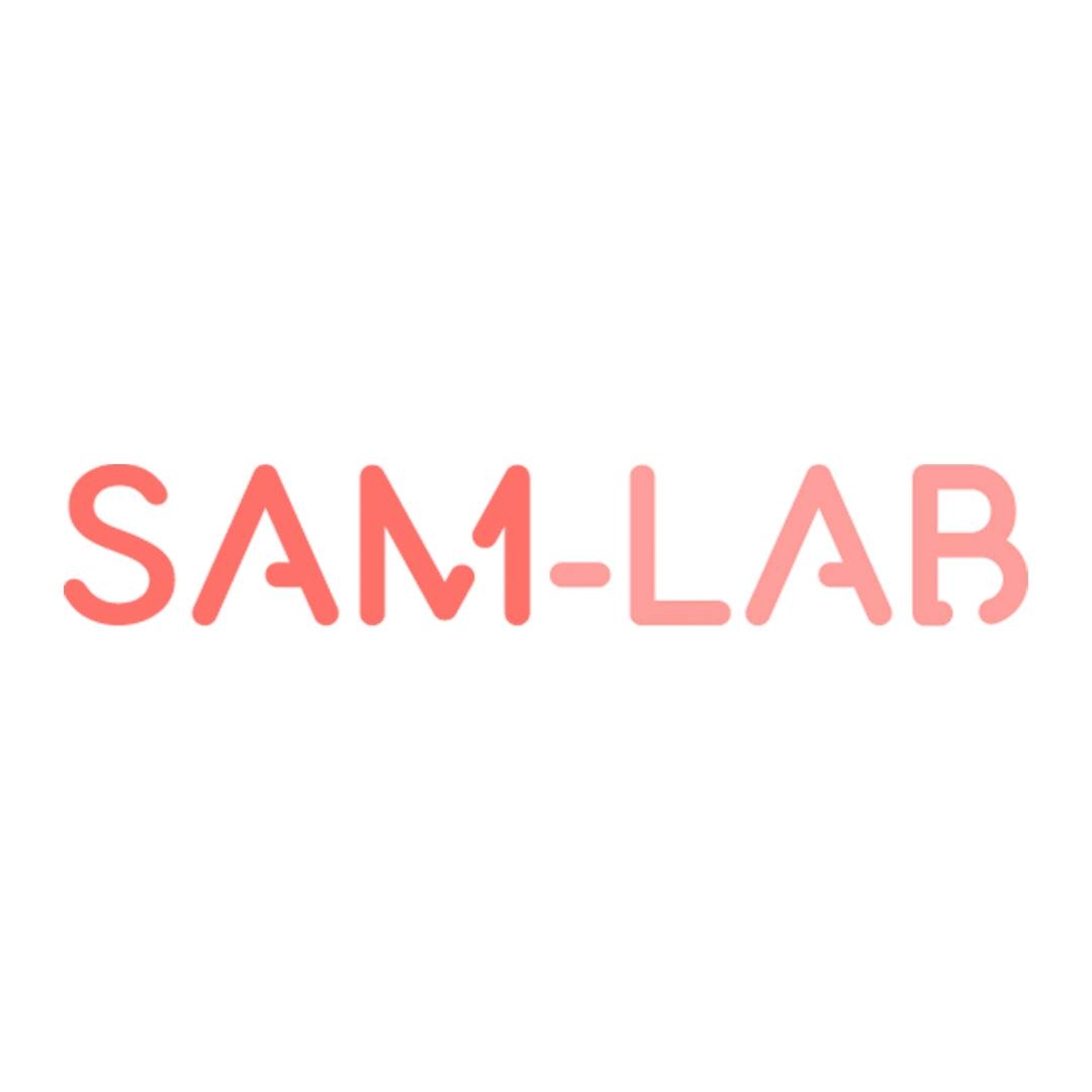 SAM - Lab