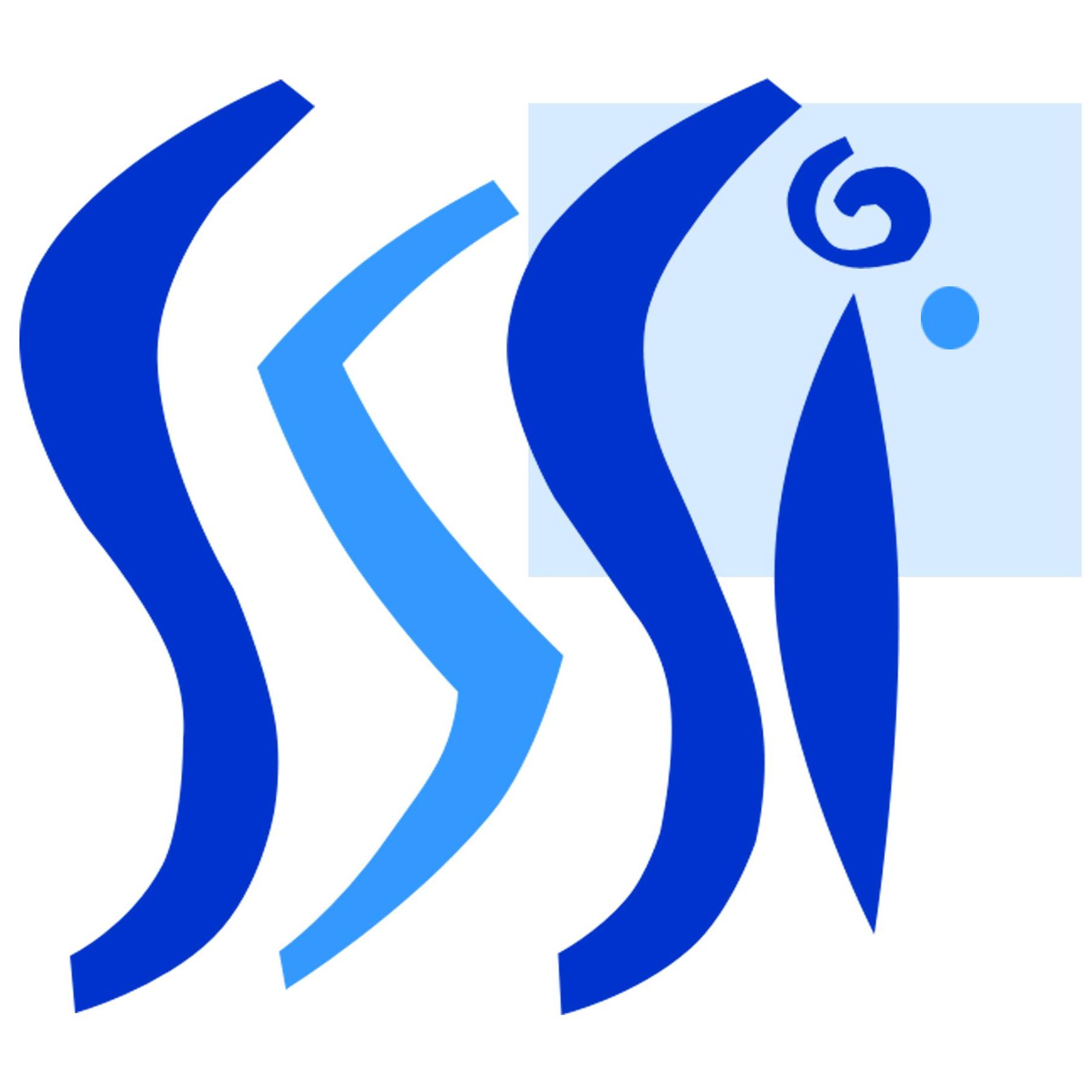 Sandman Software Systems