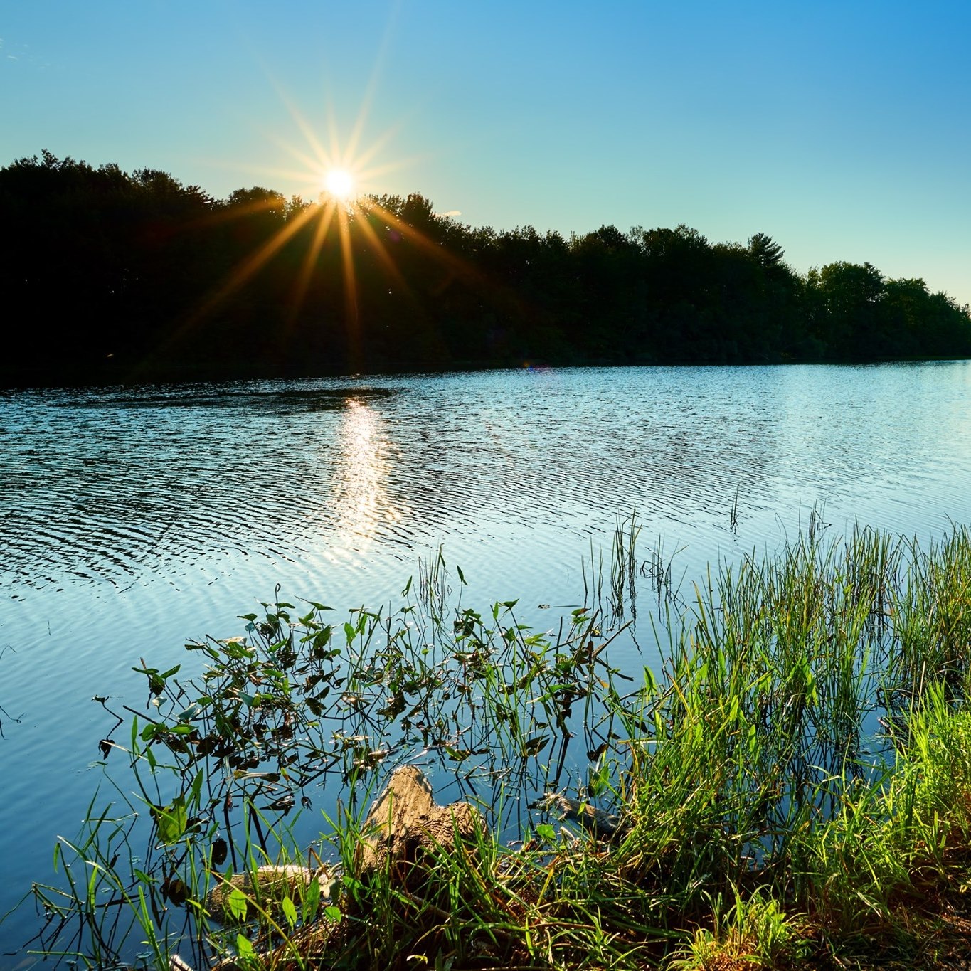 Sanford Regional Economic Growth Council