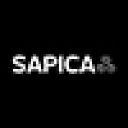 Sapica