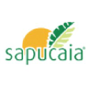 Sapucaia