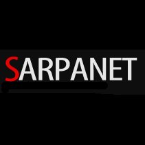 Sarpanet, Soluciones Web