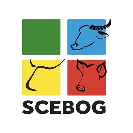 SCEBOG