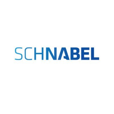 Schnabel Foundation