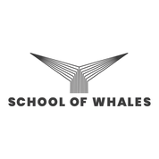 School Of Whales