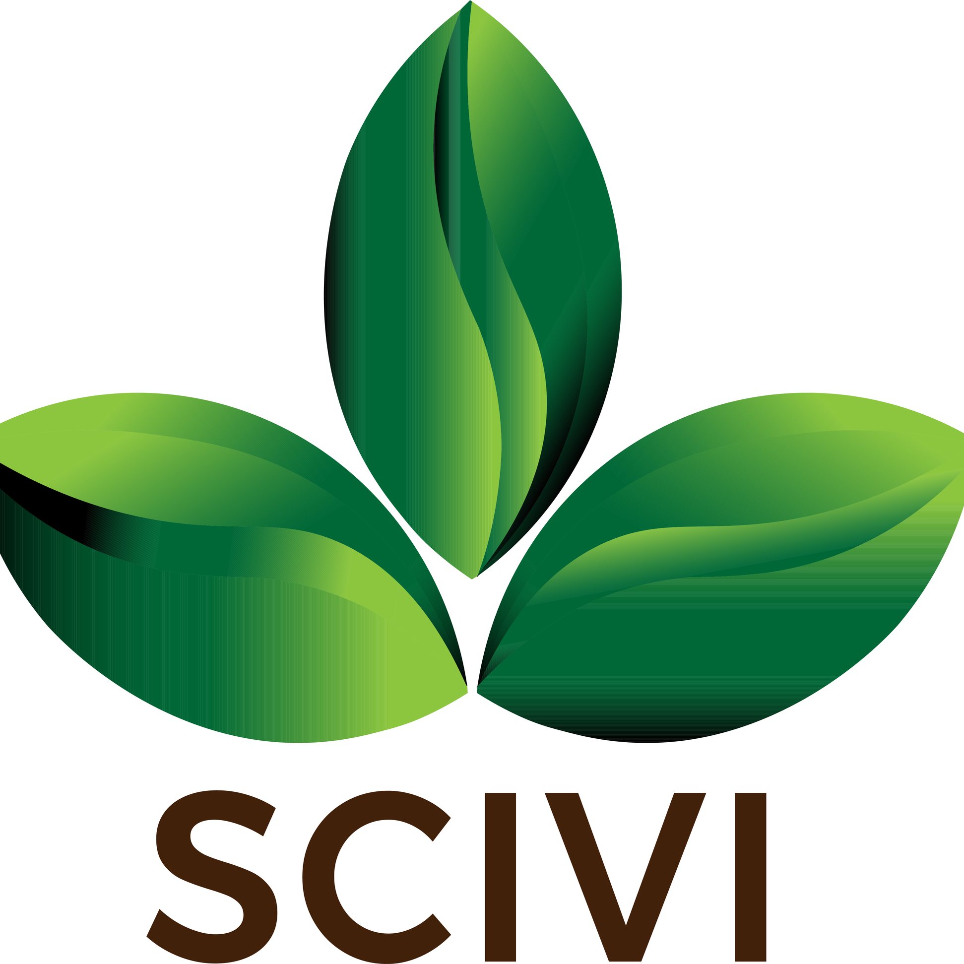 Scivi Travel