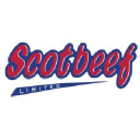 Scotbeef