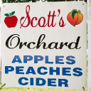 Scott's Orchard