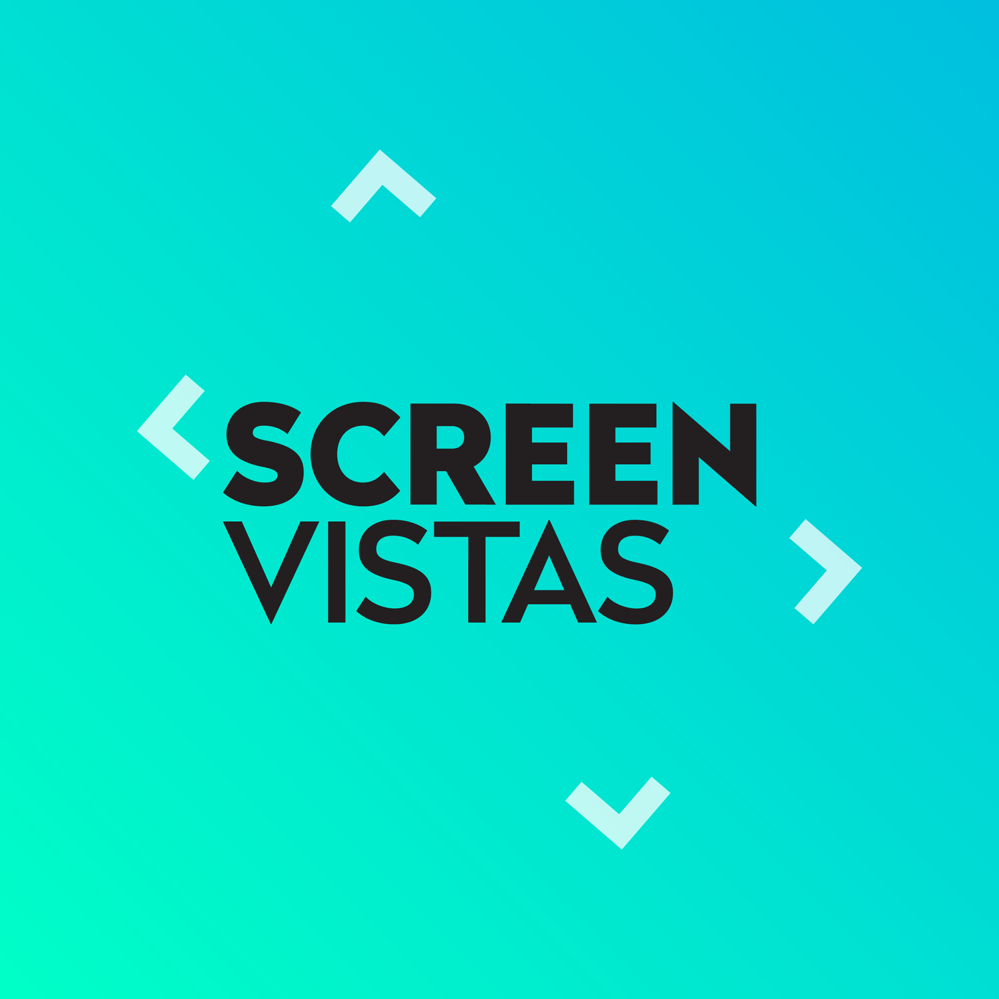 Screen Vistas