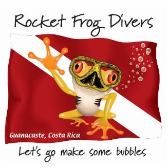 Rocket Frog Divers