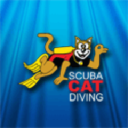 Scuba Cat Diving