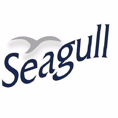 Seagull