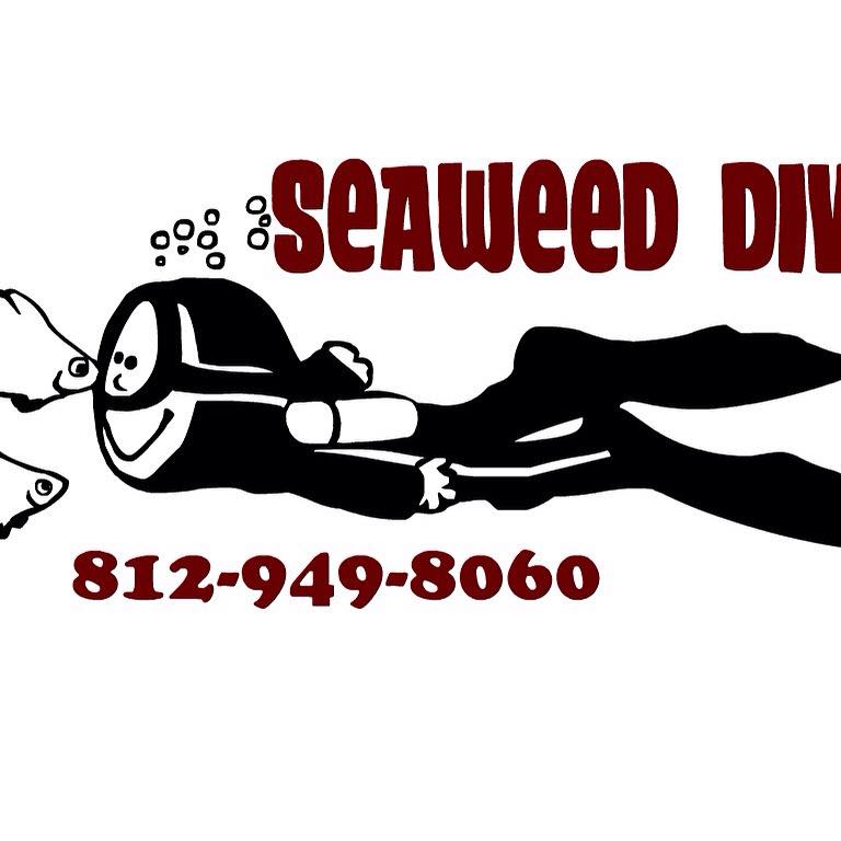 Seaweed Diver