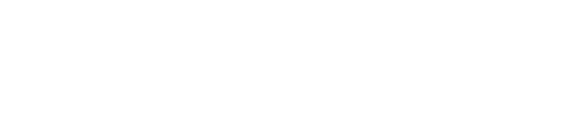 SecureLogix