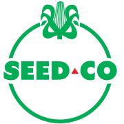 Seed