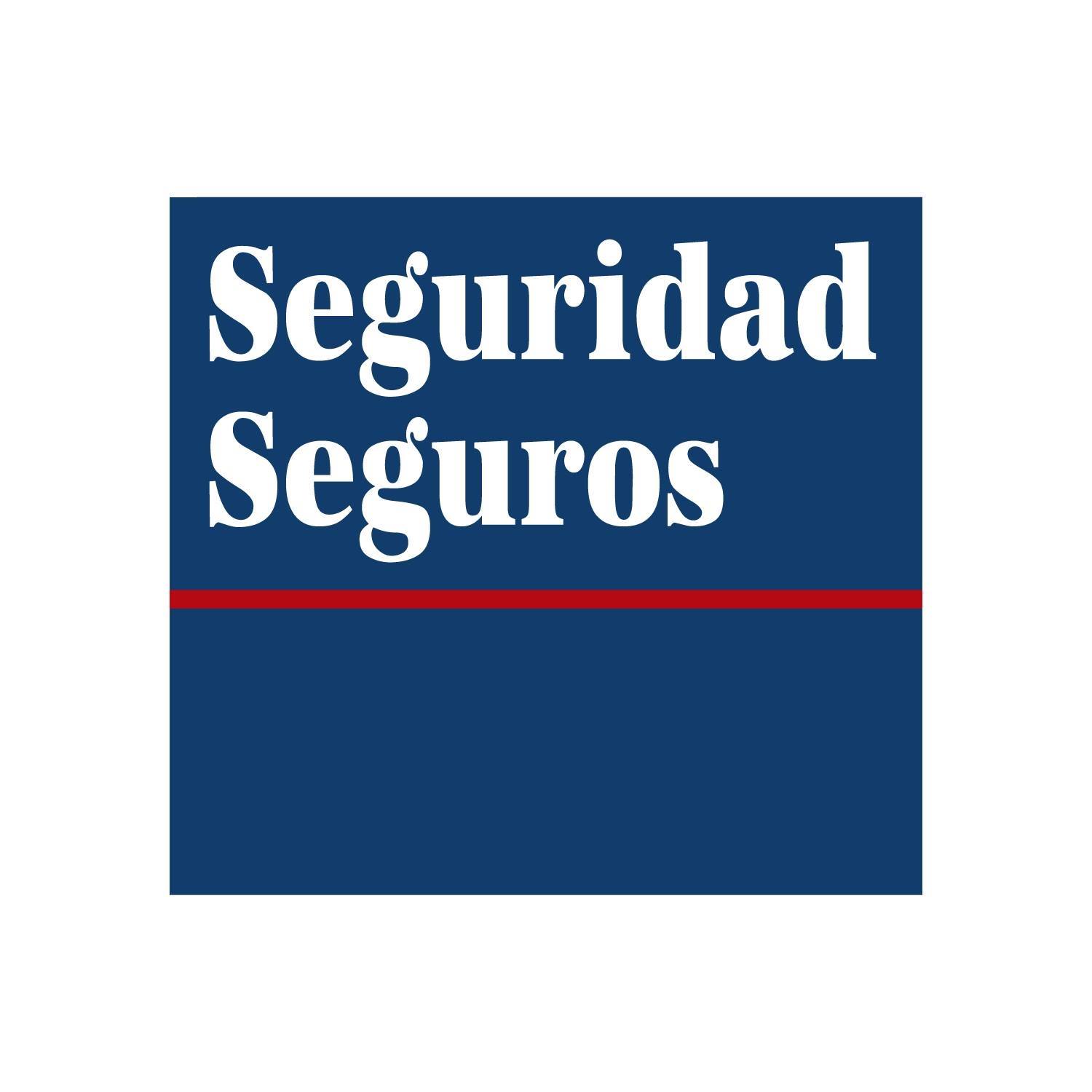 Seguridad Seguros