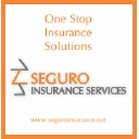 Seguro Insurance