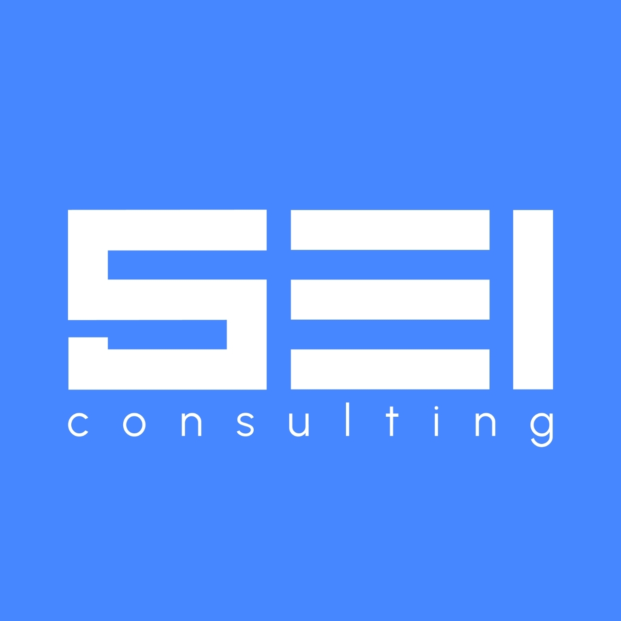 Sei Consulting S.p.a