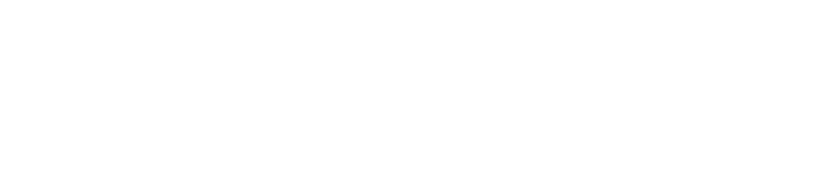 Seidemann Web