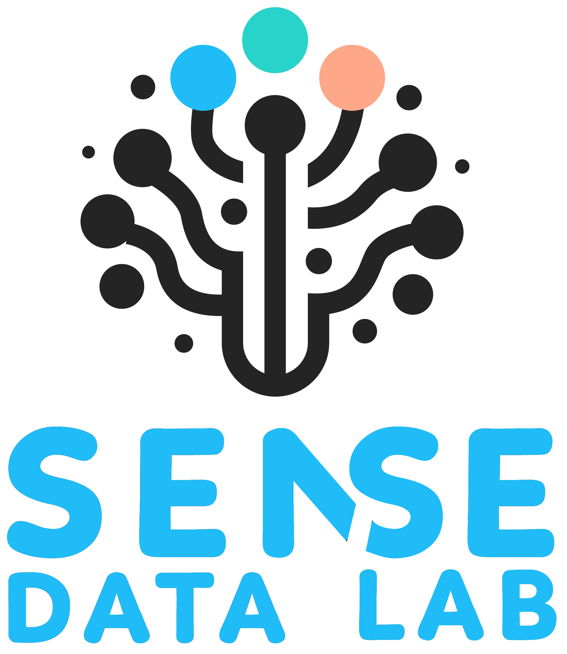 Sense Data Lab