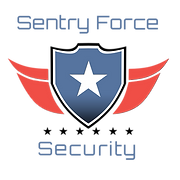 Sentry Force Security