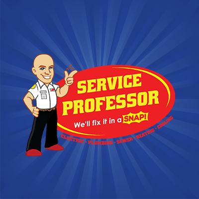 Service Professor