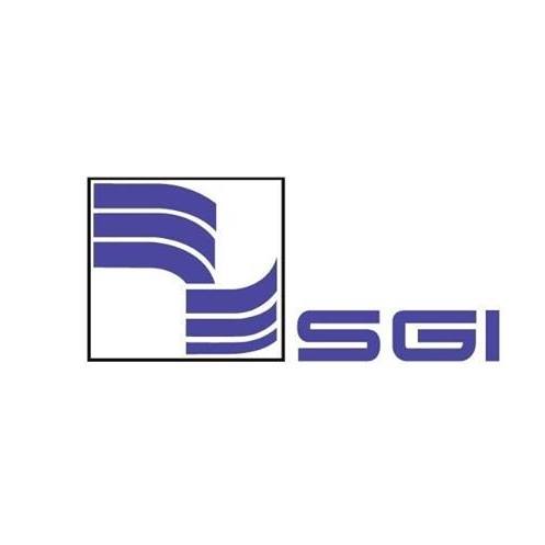 SGI Consulting