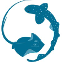 Sharklab Adria: Center For Marine And Freshwater Biology