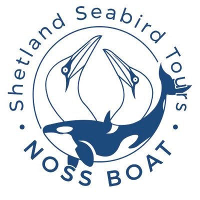 Shetland Seabird Tours