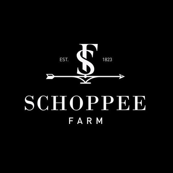 shopschoppee.com shopschoppee.com