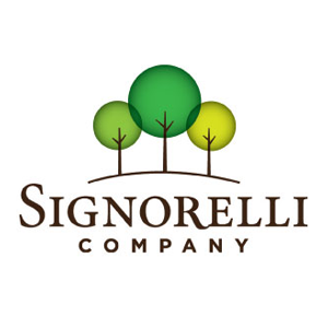 Signorelli