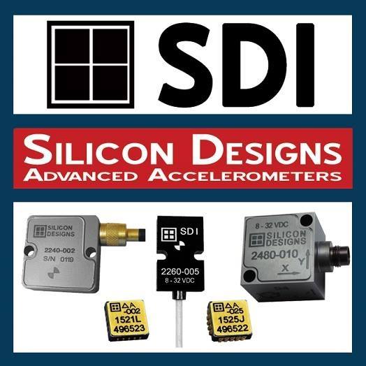 Silicon Designs