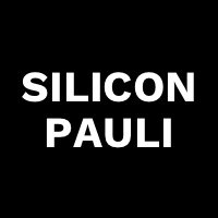 Silicon Pauli Gmbh