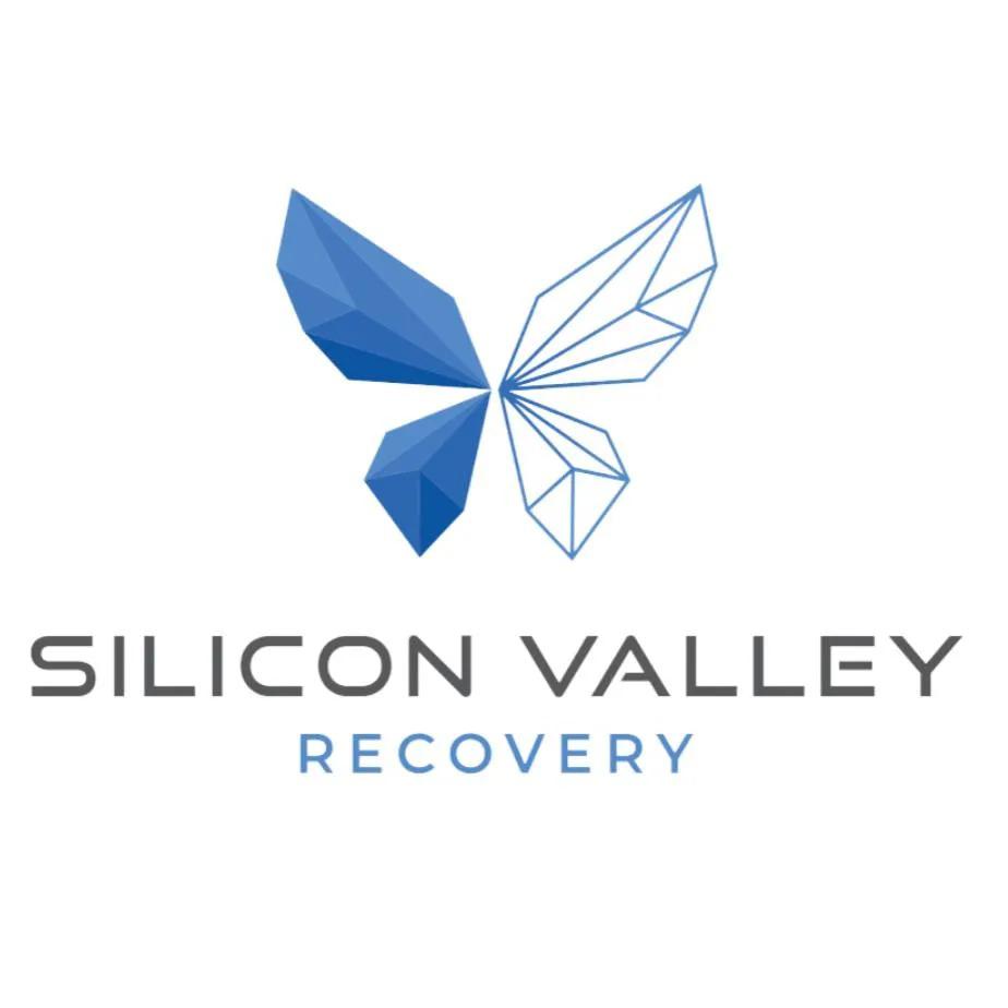 Silicon Valley Recovery