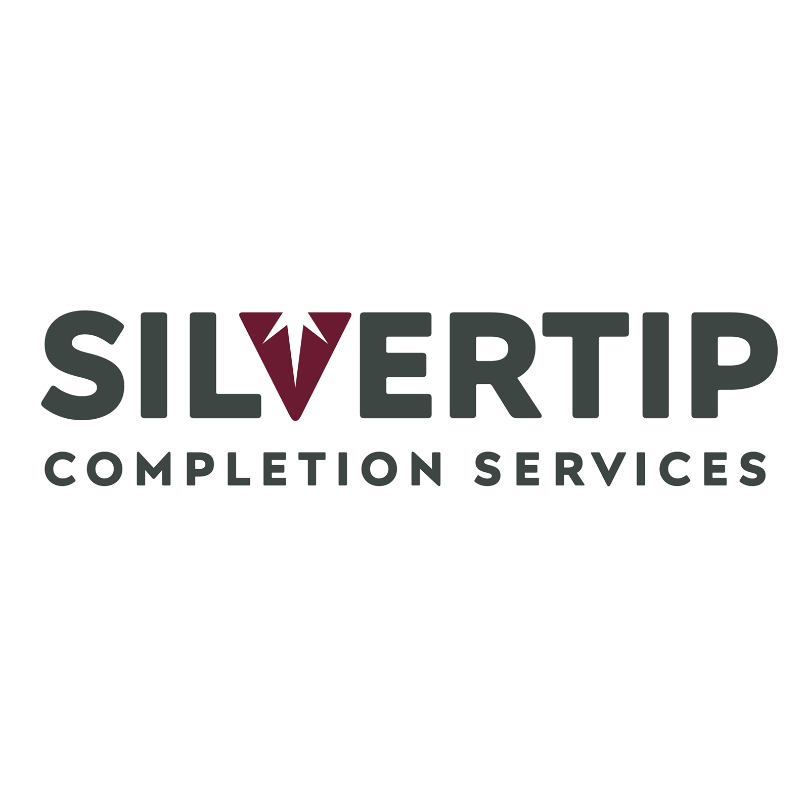 Silvertip Completion Services