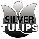 Silver Tulip Recruitment