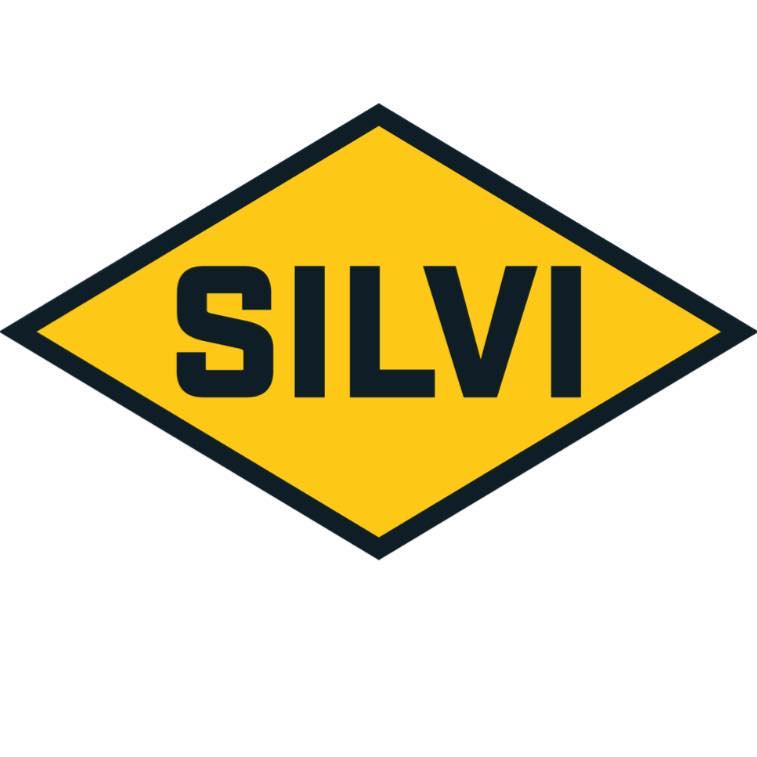 The Silvi Group Companies