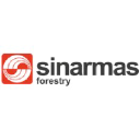 Sinar Mas Forestry