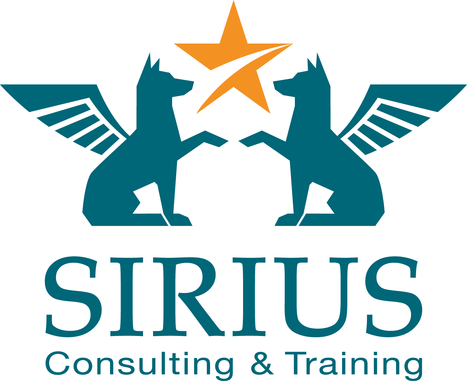 SIRIUS Consulting & Training